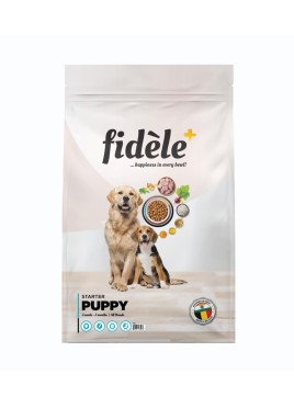 Fidele Starter Puppy Dog Food For All Breed - 1 kg